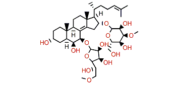 Anthenoside S3